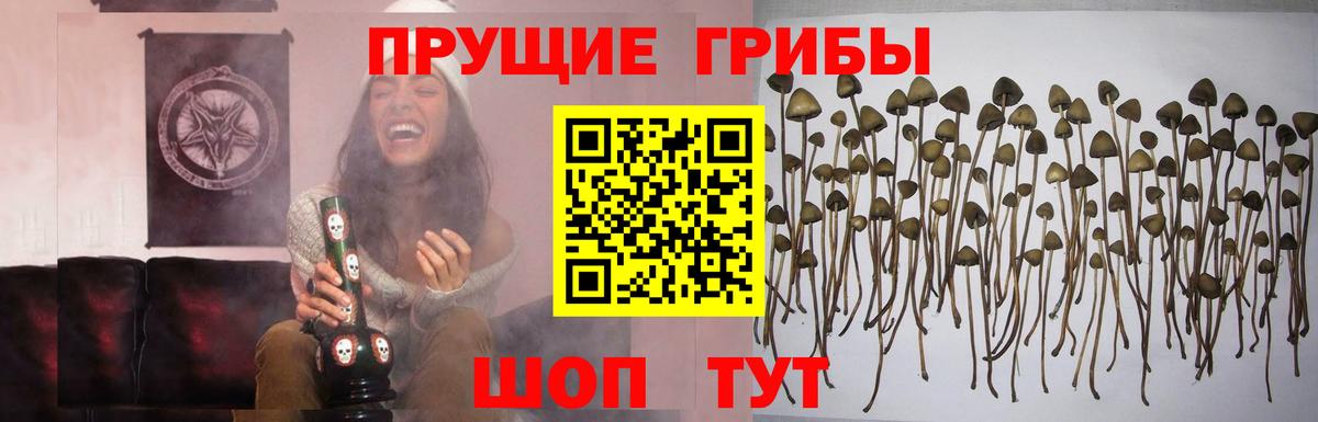 Галлюциногенные грибы мухоморы  Вход с VPN  наркота  Благодарный 