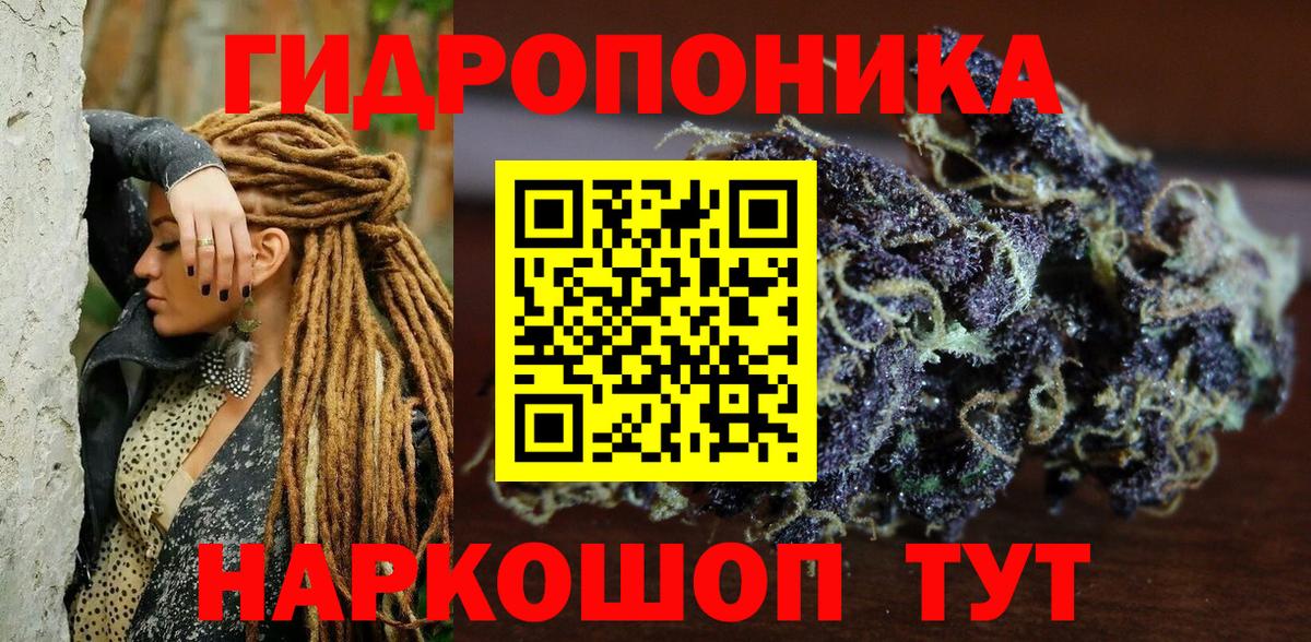 Благодарный  Каннабис Ganja  Вход с VPN  Шишки марихуана конопля  Бошки марихуана конопля  Шишки марихуана сатива 